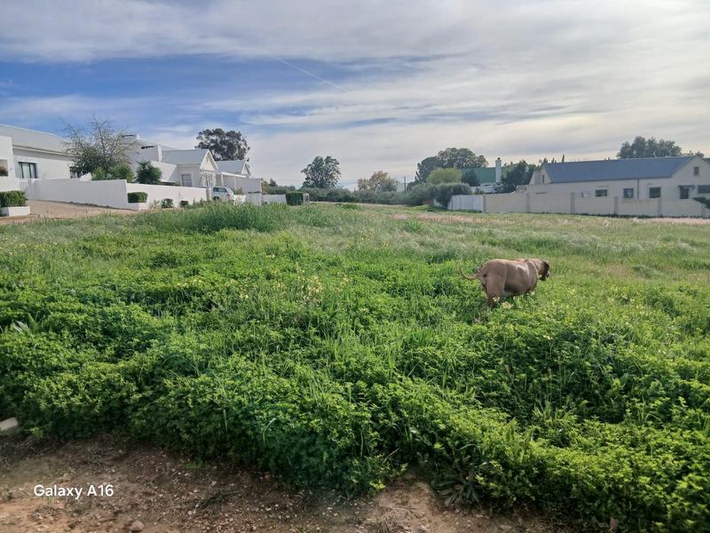 0 Bedroom Property for Sale in Riebeek Kasteel Western Cape